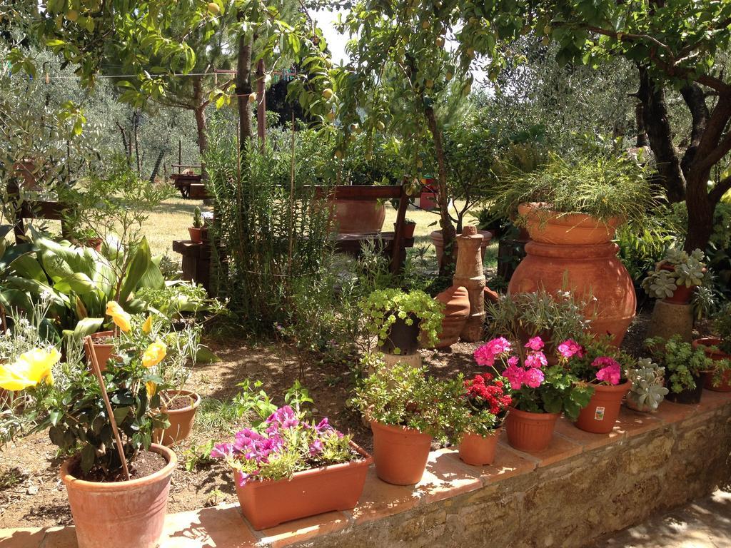 Agriturismo Il Viaio Fiesole Exterior foto